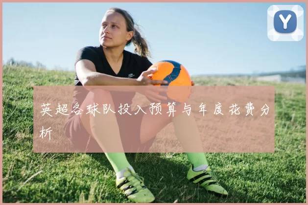 英超各球队投入预算与年度花费分析