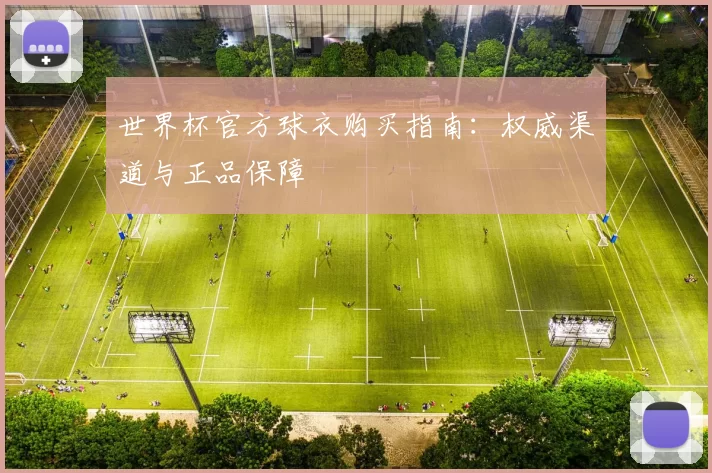 世界杯官方球衣购买指南：权威渠道与正品保障