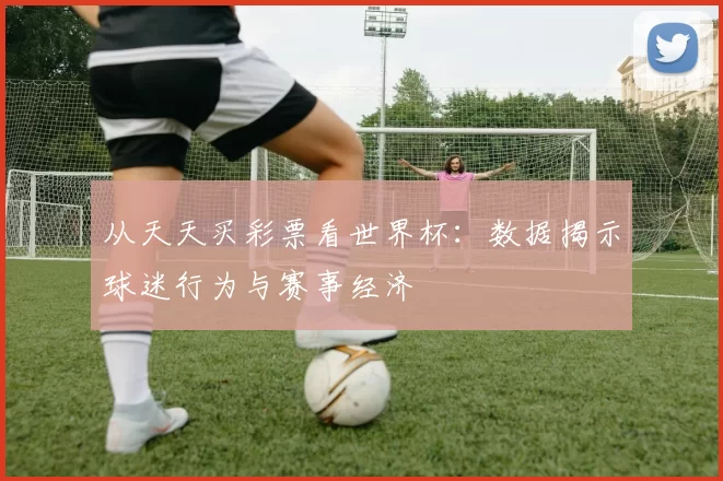 从天天买彩票看世界杯:数据揭示球迷行为与赛事经济
