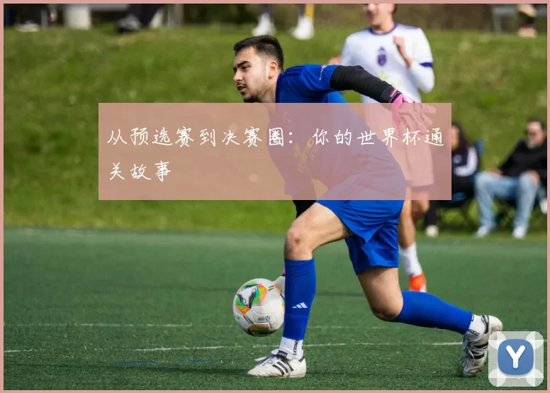从预选赛到决赛圈：你的世界杯通关故事
