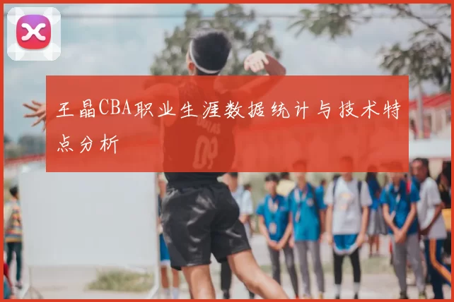 王晶CBA职业生涯数据统计与技术特点分析