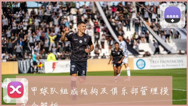 意甲球队组成结构及俱乐部管理模式全解析