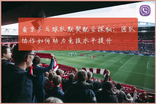 南京乒乓球队默契配合探秘：团队协作如何助力竞技水平提升