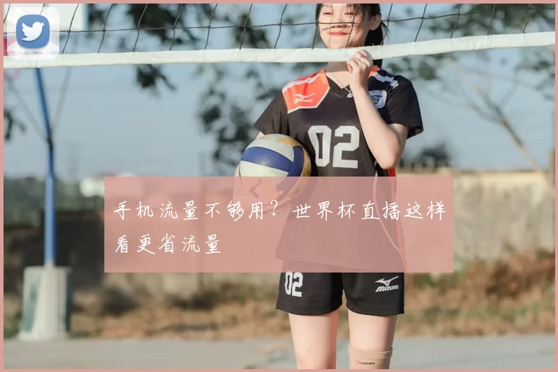手机流量不够用?世界杯直播这样看更省流量