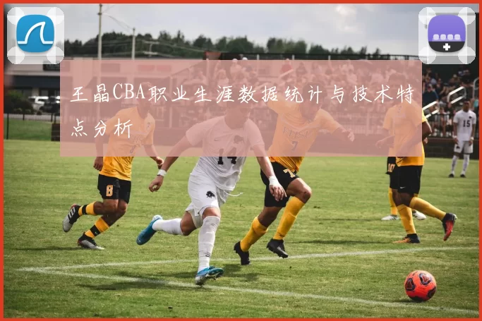 王晶CBA职业生涯数据统计与技术特点分析