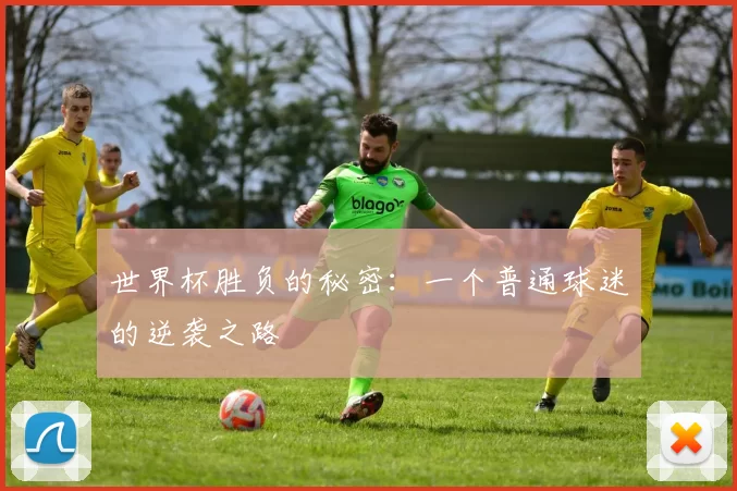 世界杯胜负的秘密:一个普通球迷的逆袭之路