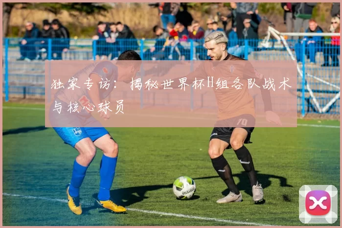 独家专访：揭秘世界杯H组各队战术与核心球员
