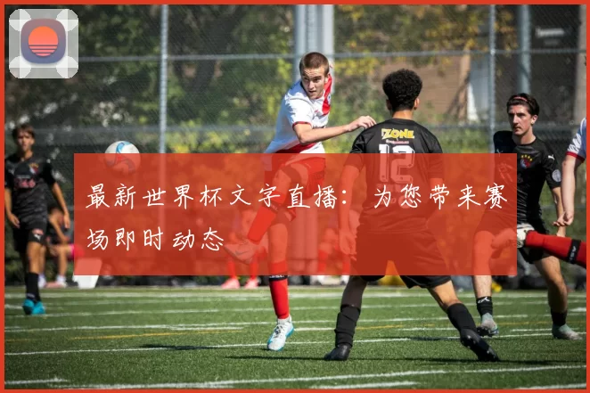 最新世界杯文字直播：为您带来赛场即时动态