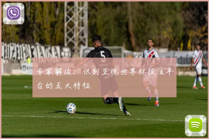 专家解读:识别正规世界杯投注平台的五大特征