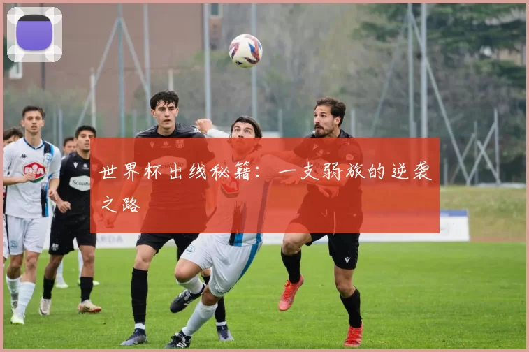 世界杯出线秘籍：一支弱旅的逆袭之路