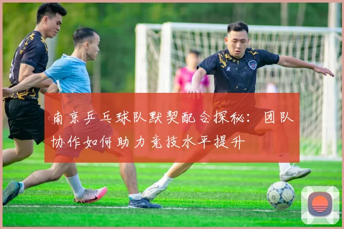 南京乒乓球队默契配合探秘：团队协作如何助力竞技水平提升