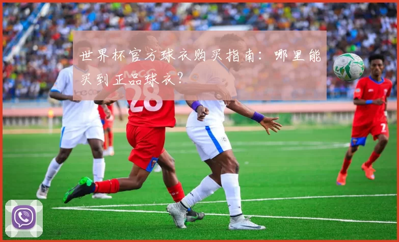 世界杯官方球衣购买指南：哪里能买到正品球衣？