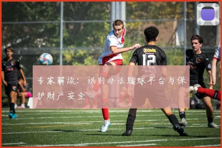 专家解读：识别非法赌球平台与保护财产安全