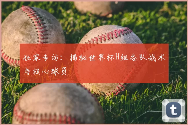 独家专访：揭秘世界杯H组各队战术与核心球员