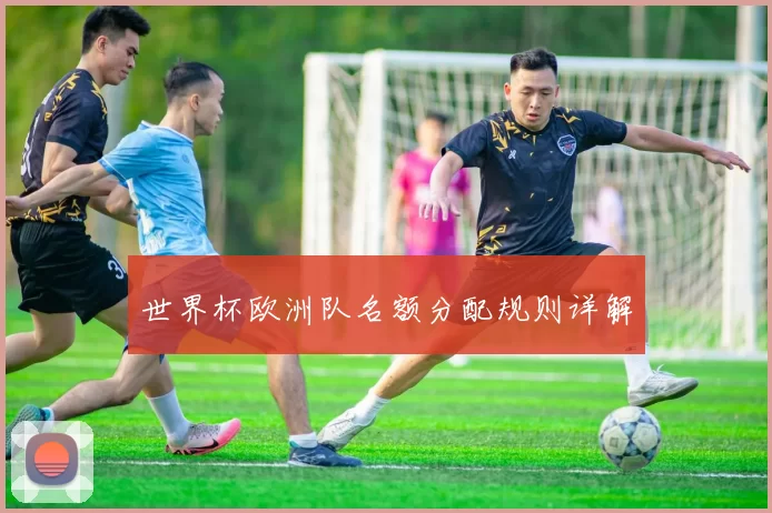 世界杯欧洲队名额分配规则详解