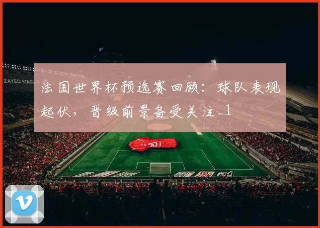 法国世界杯预选赛回顾：球队表现起伏，晋级前景备受关注_1