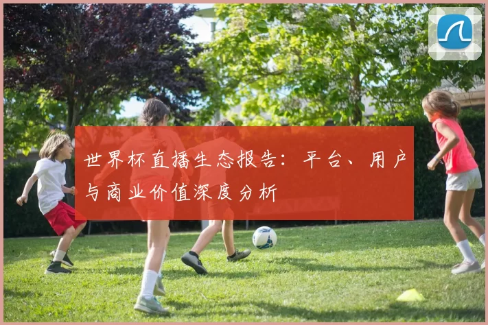 世界杯直播生态报告：平台、用户与商业价值深度分析